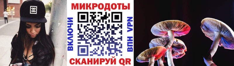 дарк нет состав  Егорьевск  Псилоцибиновые грибы Cubensis 